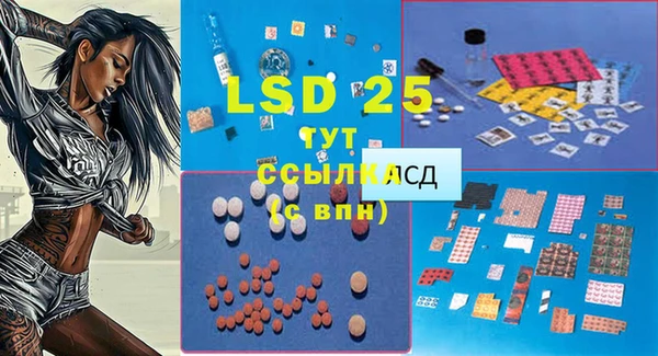 герыч Вяземский