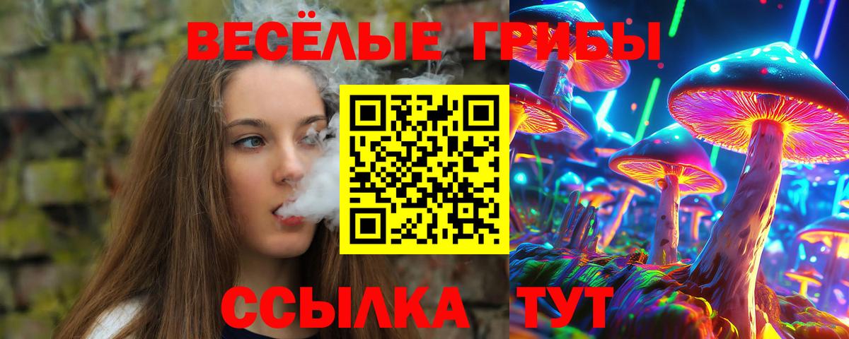 Псилоцибиновые грибы мухоморы  Псилоцибиновые грибы Psilocybine cubensis  закладки  Железногорск  Вход с VPN 
